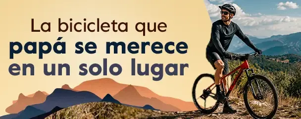 b-large-mini-bibicletas-sm.webp