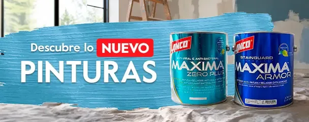b-large-mini-pinturas-sm.webp