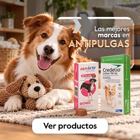 Juguetes