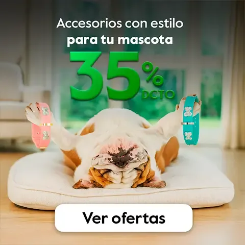 mascotas