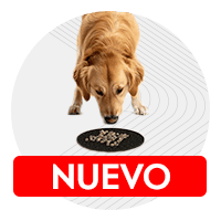 Mascotas